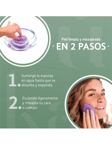 Esponjas faciales orgánicas de konjak